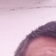 ����, 41 ���, ���������