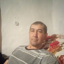 , 35, 