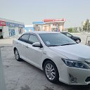 ���� ������, ������������, 37 ��� - ��������� 20 ���� 2025