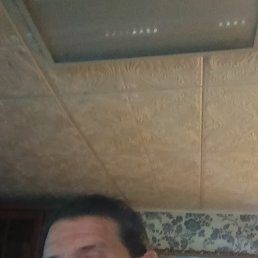 ���� ������, ������������, 55 ��� - ��������� 16 �������� 2024