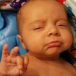 ������, ������, 48 ���