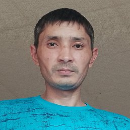 , 33, 
