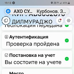 ���� ����, ������, 55 ��� - ��������� 7 ���� 2026