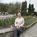 ���� �����, ������������, 50 ��� - ��������� 22 ������ 2026 � ������ ���� ����������