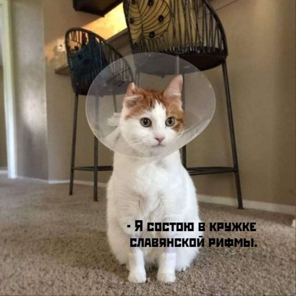       - 16  2025  12:17 - 2