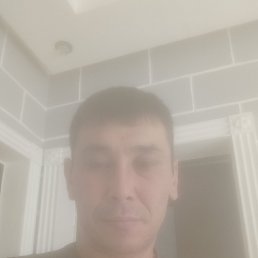 , 41, 