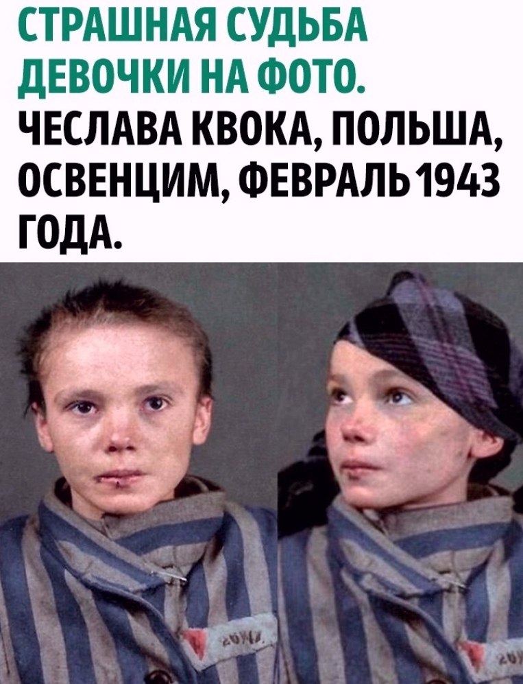 �������� - 29 ������ 2025 � 14:11