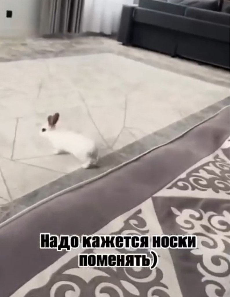 ,   . - 2