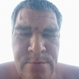 ����, ������, 46 ���