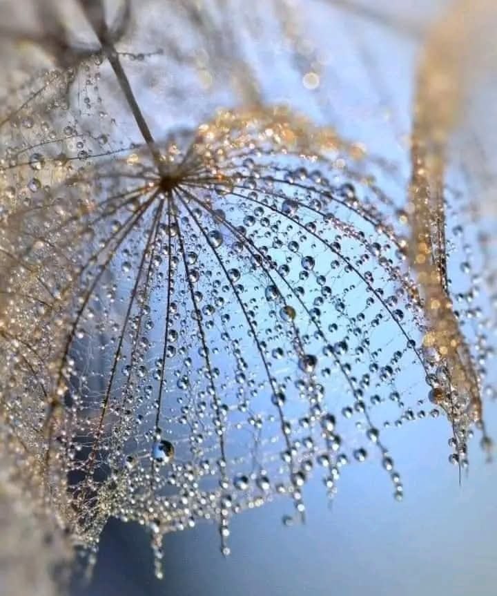 :) Природа - великий художник!
