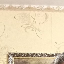 ����������, ����, 51 ���