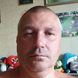 , -, 46 