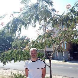 ������, �������, 43 ����