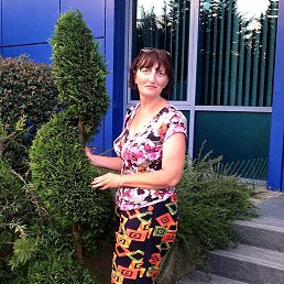 ���� �����, ����, 53 ���� - ��������� 6 ������ 2023