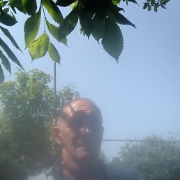 , 52, 