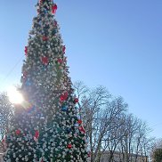 �����, 42 ����, ������