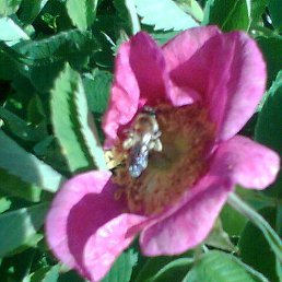 ����, ������, 48 ���