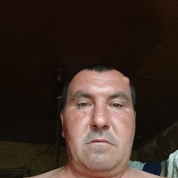 , 49 , 
