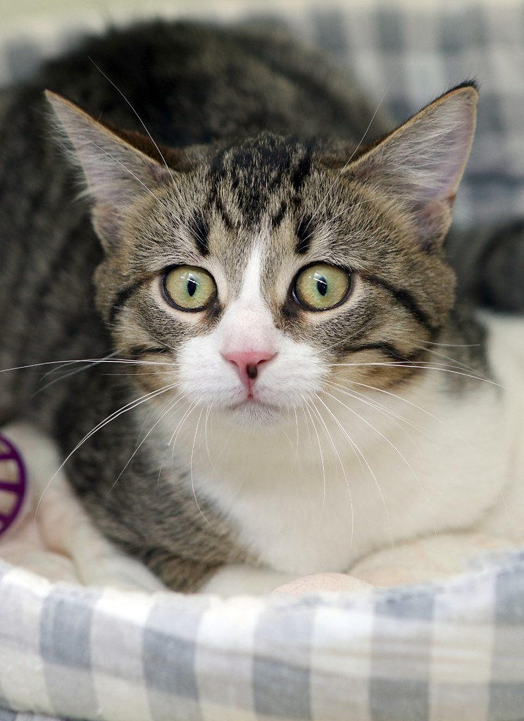 �����-���������.�������� � ������������ ������ ������� � ������ ����� �����!������� - ����� ... - 8