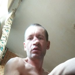   , 46, 