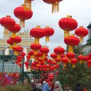  ,  -  10  2025      .