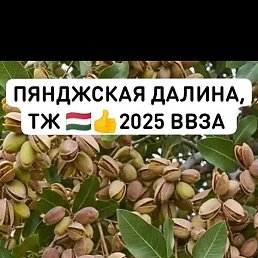 �������, ������������, 37 ���