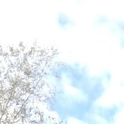 �����, 23 ����, �����