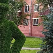 , 47 , 