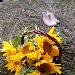 ���� �������, ����, 65 ��� - ��������� 7 ������ 2024