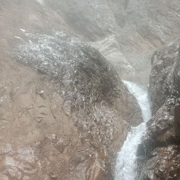 �����, �����, 38 ���