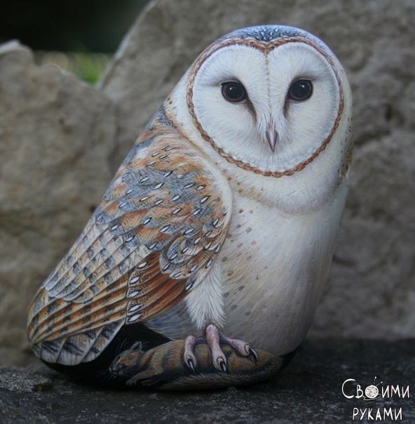 ������ ������� ������ - 6