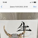 ���� �����, �����, 48 ��� - ��������� 5 ���� 2024 � ������ ���� ����������