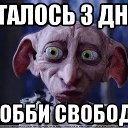���� ����, ������, 42 ���� - ��������� 2 ���� 2026