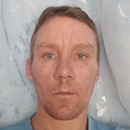 , , 41 