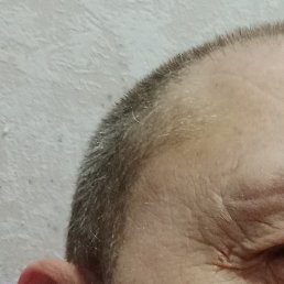 ������, �����