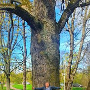 Михаил, 50 лет, Санкт-Петербург Михаил, 50 лет, Санкт-Петербург