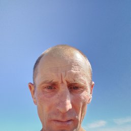 ������, 42 ����, ���������