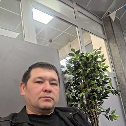 , 33, 