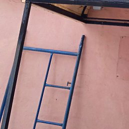 ������, �����������, 66 ���