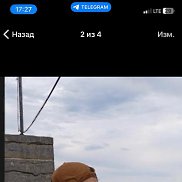 ���������, 43 ����, ���������