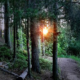 ���� �����, �����-���������, 48 ��� - ��������� 3 ������� 2026