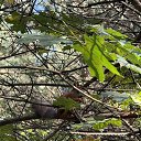 ���� ��������� � 221, ������ ��������, 58 ��� - ��������� 8 �������� 2025 � ������ ���� ����������