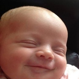 ����������, ���������, 43 ����