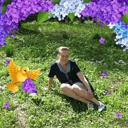 �������, ������, 46 ���