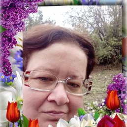 ���� ����, ����������, 34 ���� - ��������� 27 ������� 2026