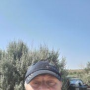 , 56 , 