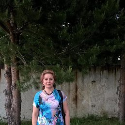 , 59, 