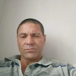������, 46 ���, ����������