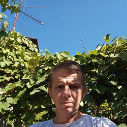 , 42, 