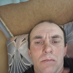 , 43, 